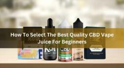 How To Select The Best Quality CBD Vape Juice